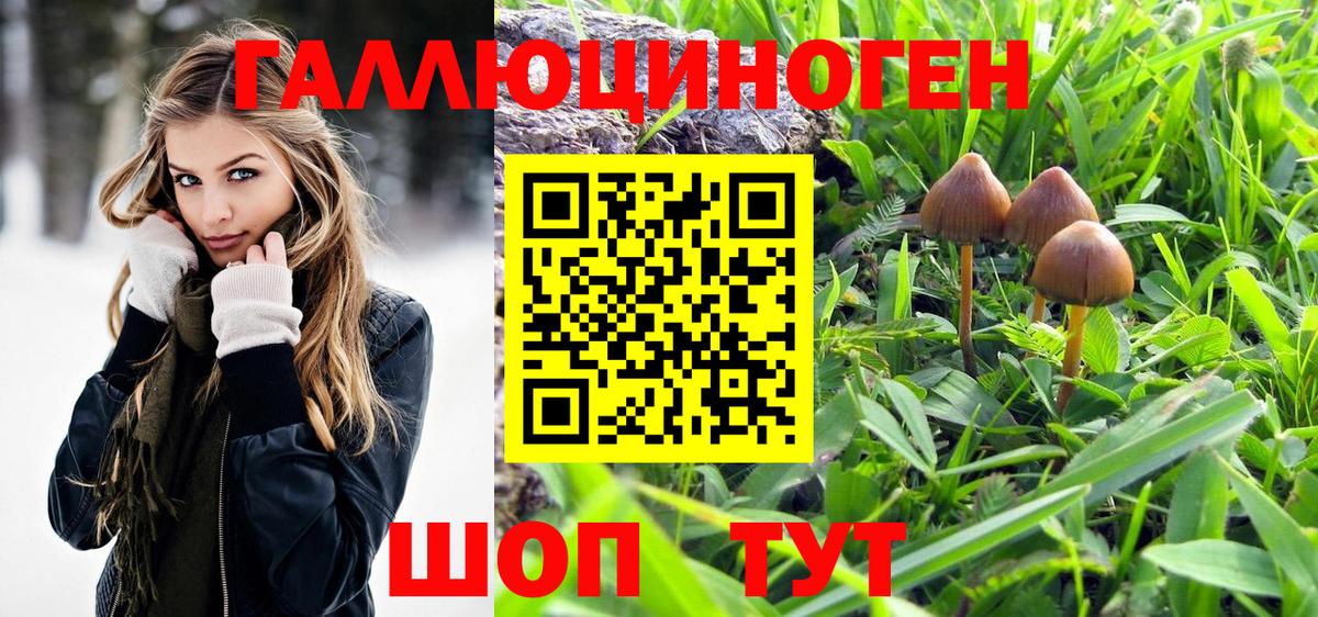 Галлюциногенные грибы мухоморы  Псилоцибиновые грибы Magic Shrooms  Вход с VPN  Сухой Лог 